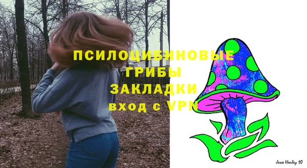 jwh Верхний Тагил