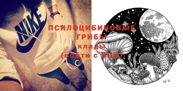 прущая мука Верея